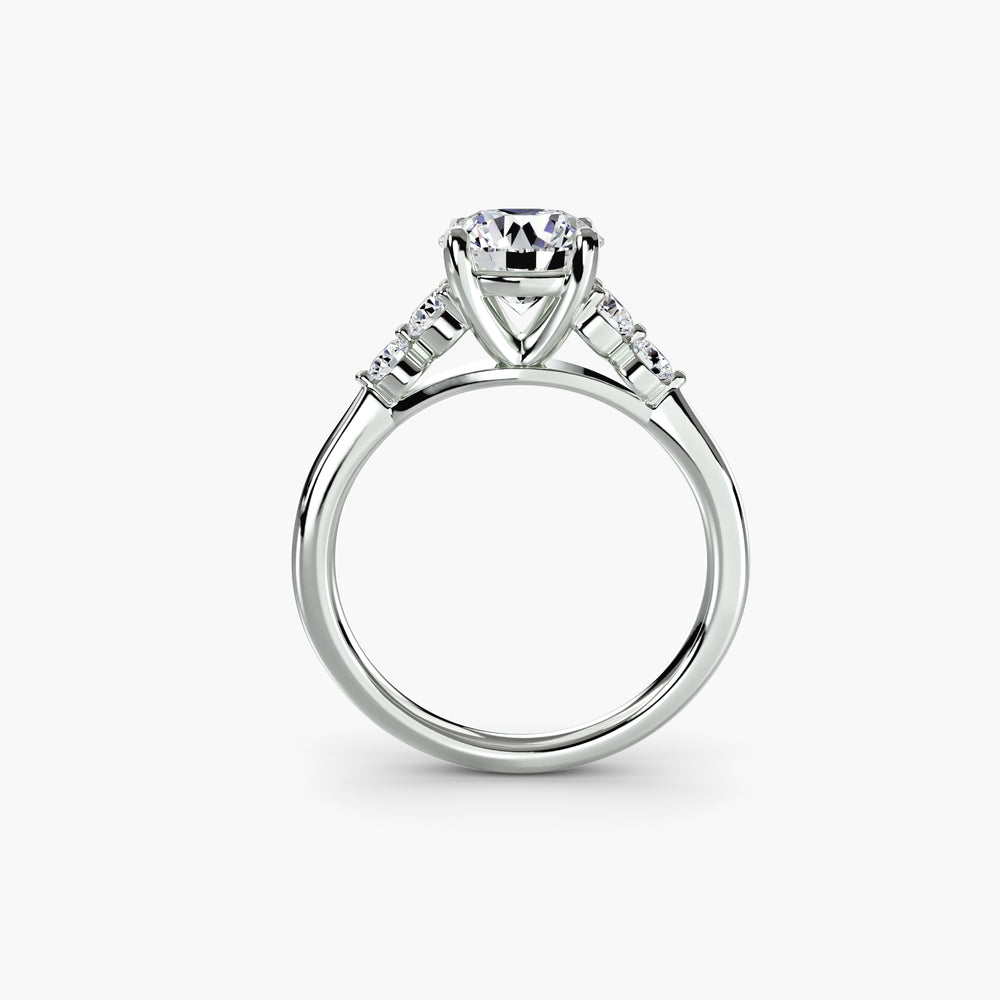 The Sylvie Solitaire with Shoulder Accents Setting, setting